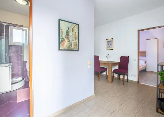 Banic With Pool Apartment Biograd Na Moru